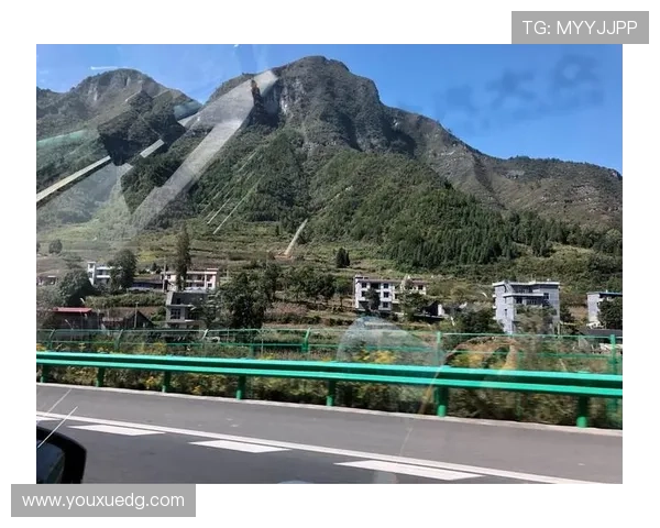 深度对话周敏排球人生的起伏与坚持探讨