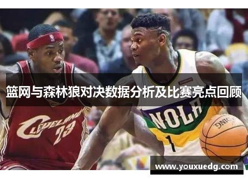 篮网与森林狼对决数据分析及比赛亮点回顾